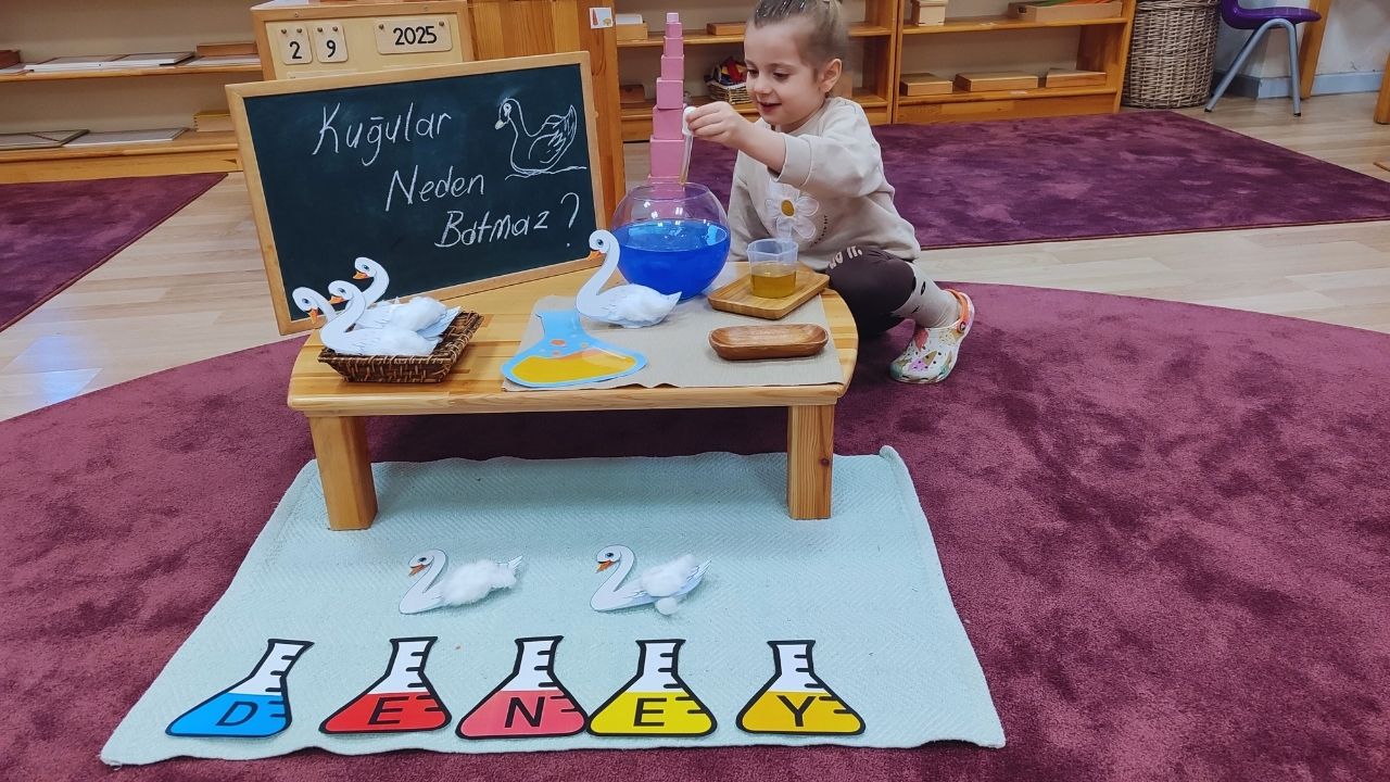 Bilimi Keşfederek Öğreniyoruz
