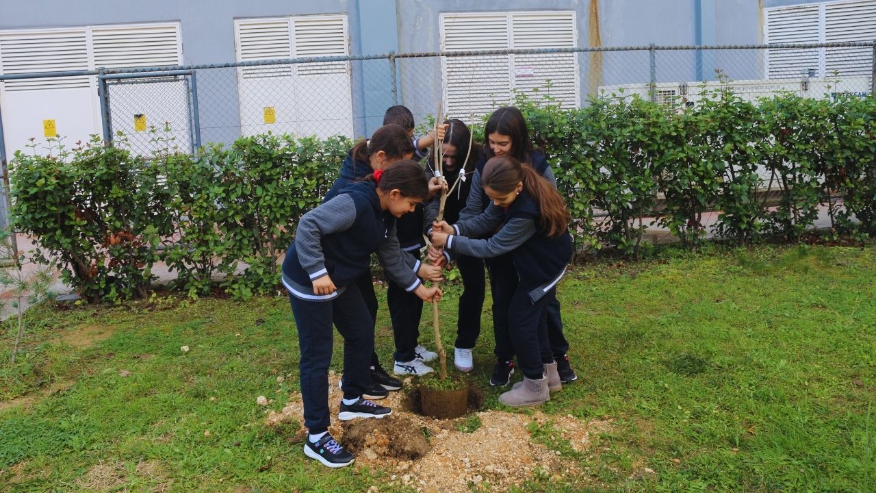 Kendi Meyvelerimizi Yetiştiriyoruz